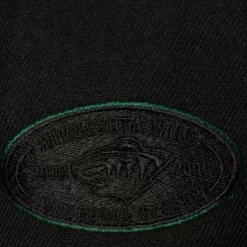 Mitchell & Ness Snapback-Tc Bottoms Snapback Minnesota Wild