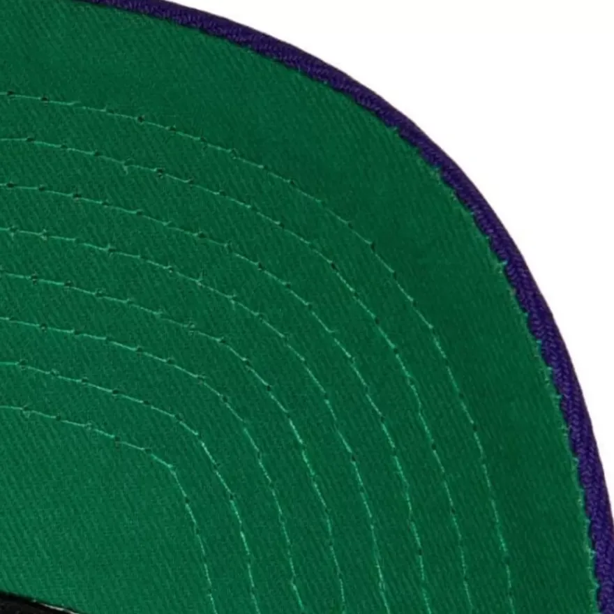 Mitchell & Ness Snapback-Team 2 Tone 2.0 Pro Snapback Hwc Milwaukee Bucks