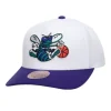 Mitchell & Ness Snapback-Team 2 Tone 2.0 Pro Snapback Hwc Charlotte Hornets