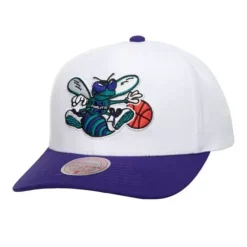 Mitchell & Ness Snapback-Team 2 Tone 2.0 Pro Snapback Hwc Charlotte Hornets
