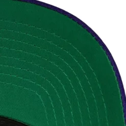Mitchell & Ness Snapback-Team 2 Tone 2.0 Pro Snapback Hwc Charlotte Hornets