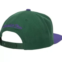 Mitchell & Ness Snapback-Team 2 Tone 2.0 Snapback Hwc Milwaukee Bucks
