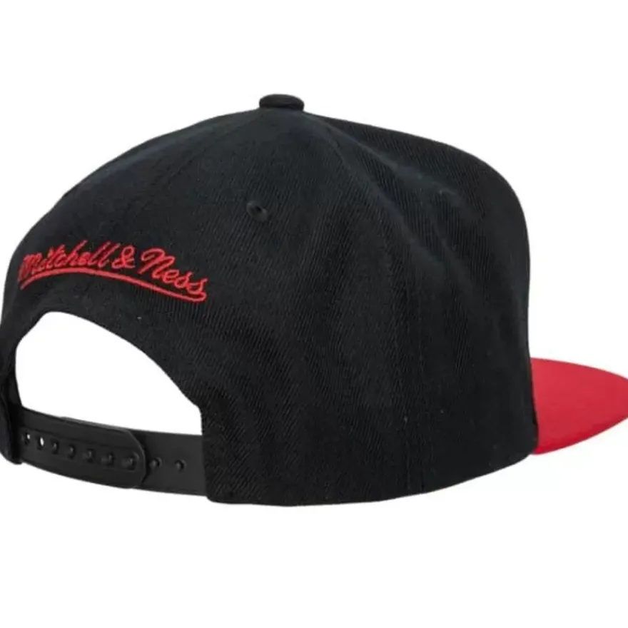 Mitchell & Ness Snapback-Team 2 Tone 2.0 Snapback Nba Toronto Raptors