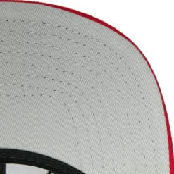 Mitchell & Ness Snapback-Team 2 Tone 2.0 Snapback Nba Toronto Raptors