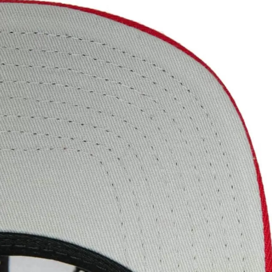 Mitchell & Ness Snapback-Team 2 Tone 2.0 Snapback Nba Toronto Raptors