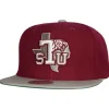 Mitchell & Ness Snapback-Team 2 Tone 2.0 Snapback Texas Southern University