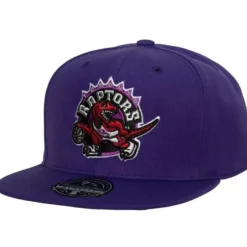 Mitchell & Ness Fitted-Team Ground 2.0 Fitted Hwc Toronto Raptors