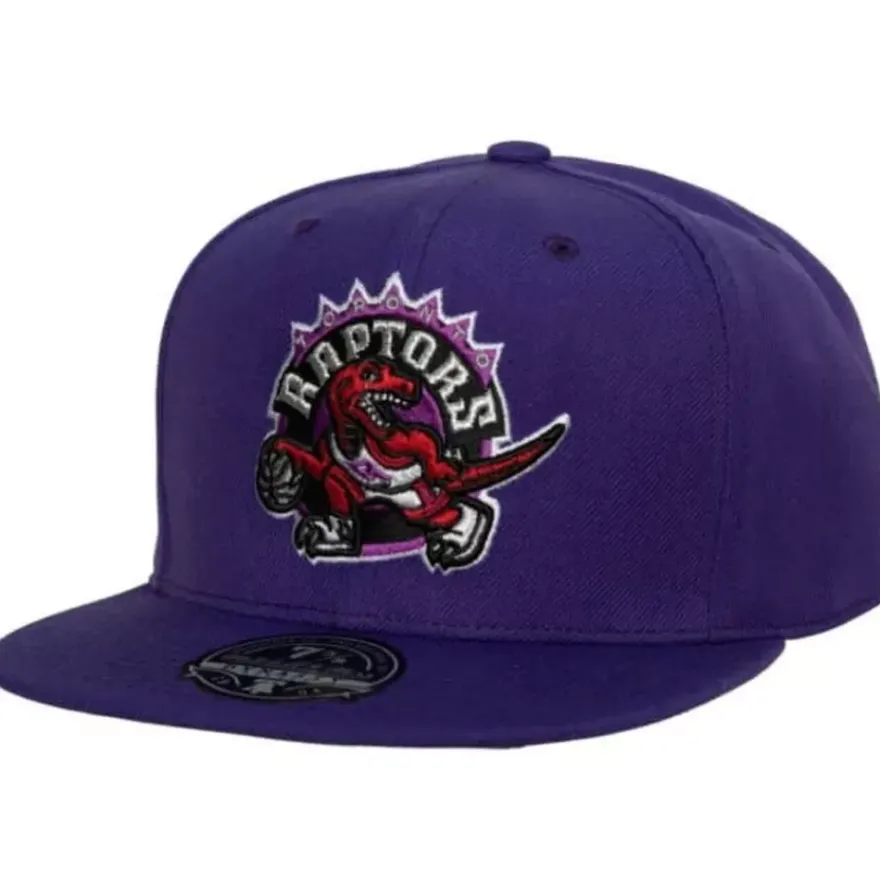 Mitchell & Ness Fitted-Team Ground 2.0 Fitted Hwc Toronto Raptors
