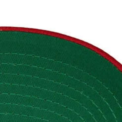 Mitchell & Ness Snapback-Team Ground 2.0 Pro Snapback Detroit Red Wings