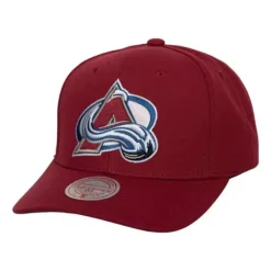 Mitchell & Ness Snapback-Team Ground 2.0 Pro Snapback Colorado Avalanche