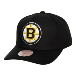 Mitchell & Ness Snapback-Team Ground 2.0 Pro Snapback Boston Bruins