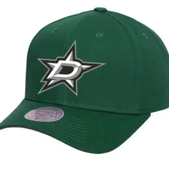 Mitchell & Ness Snapback-Team Ground 2.0 Pro Snapback Dallas Stars