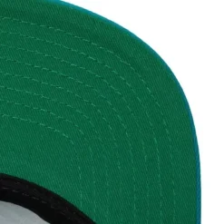 Mitchell & Ness Snapback-Team Ground 2.0 Snapback Hwc Charlotte Hornets