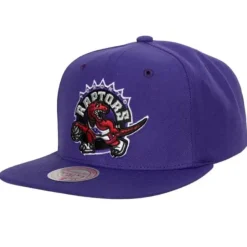Mitchell & Ness Snapback-Team Ground 2.0 Snapback Hwc Toronto Raptors