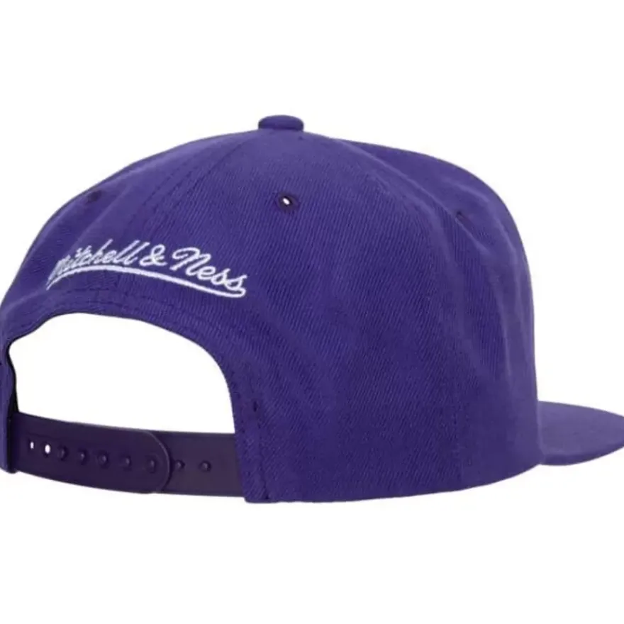 Mitchell & Ness Snapback-Team Ground 2.0 Snapback Hwc Toronto Raptors