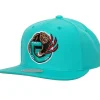 Mitchell & Ness Snapback-Team Ground 2.0 Snapback Hwc Vancouver Grizzlies