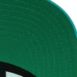 Mitchell & Ness Snapback-Team Ground 2.0 Snapback Hwc San Antonio Spurs