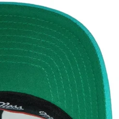 Mitchell & Ness Snapback-Team Ground 2.0 Stretch Snapback Hwc Vancouver Grizzlies