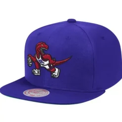 Mitchell & Ness Snapback-Team Ground Snapback Toronto Raptors