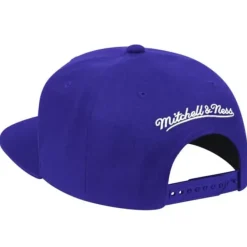 Mitchell & Ness Snapback-Team Ground Snapback Toronto Raptors