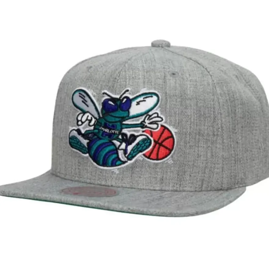 Mitchell & Ness Snapback-Team Heather 2.0 Snapback Hwc Charlotte Hornets