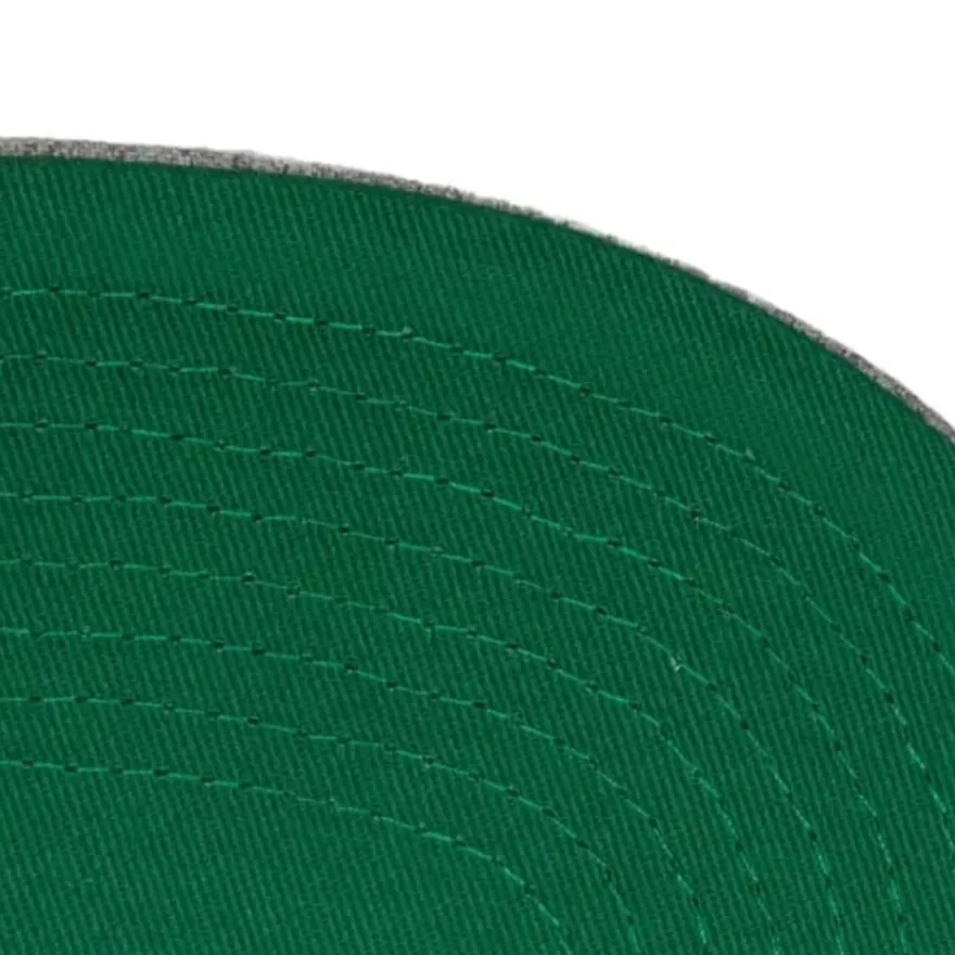 Mitchell & Ness Snapback-Team Heather 2.0 Snapback Hwc Charlotte Hornets