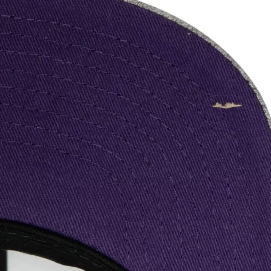 Mitchell & Ness Snapback-Team Heather 2.0 Snapback Los Angeles Lakers