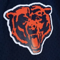 Mitchell & Ness Shorts-Team Id Mesh Shorts Chicago Bears