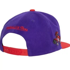 Mitchell & Ness Snapback-Team Insider Snapback Hwc Toronto Raptors