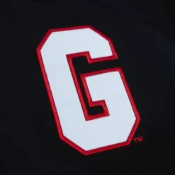 Mitchell & Ness Jackets & Outerwear-Team Og 2.0 Lightweight Satin Jacket University Of Georgia