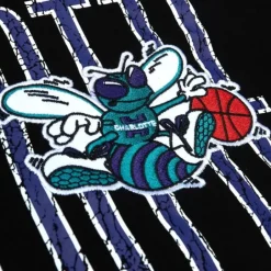 Mitchell & Ness Hoodies & Sweatshirts-Team Og Fleece 2.0 Charlotte Hornets