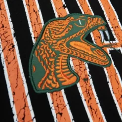 Mitchell & Ness Hoodies & Sweatshirts-Team Og Fleece Hoodie Florida A&M University