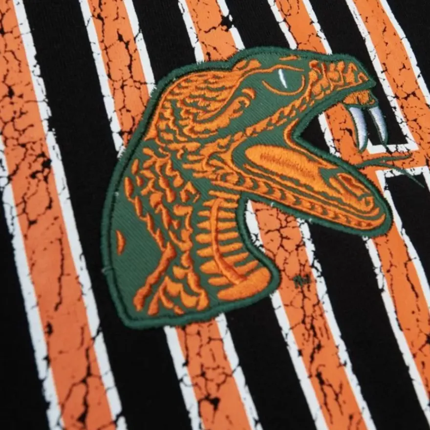 Mitchell & Ness Hoodies & Sweatshirts-Team Og Fleece Hoodie Florida A&M University