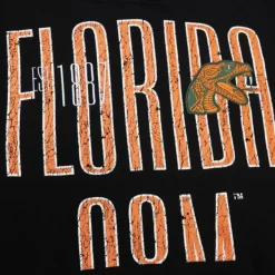 Mitchell & Ness Hoodies & Sweatshirts-Team Og Fleece Hoodie Florida A&M University