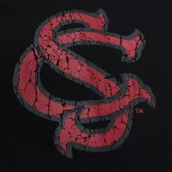 Mitchell & Ness Hoodies & Sweatshirts-Team Og Fleece Hoodie University Of South Carolina