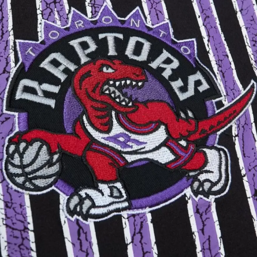 Mitchell & Ness T-Shirts & Tops-Team Og Premium Ss Tee Toronto Raptors