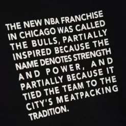 Mitchell & Ness Hoodies & Sweatshirts-Team Origins Fleece Hoody Chicago Bulls
