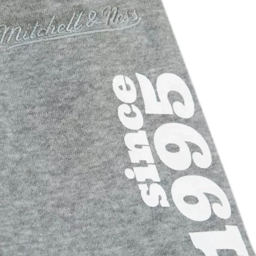 Mitchell & Ness Pants-Team Origins Fleece Pant Toronto Raptors