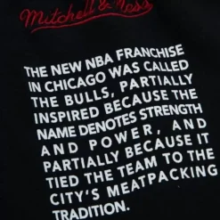 Mitchell & Ness Shorts-Team Origins Fleece Short Chicago Bulls