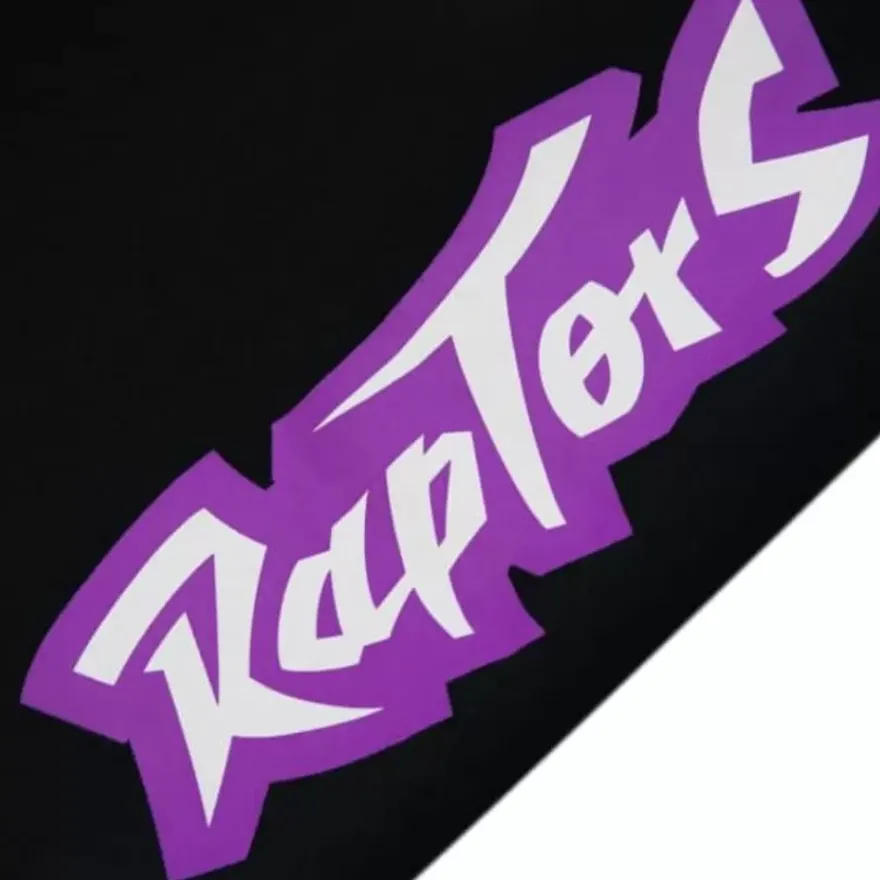 Mitchell & Ness Shorts-Team Origins Fleece Short Toronto Raptors