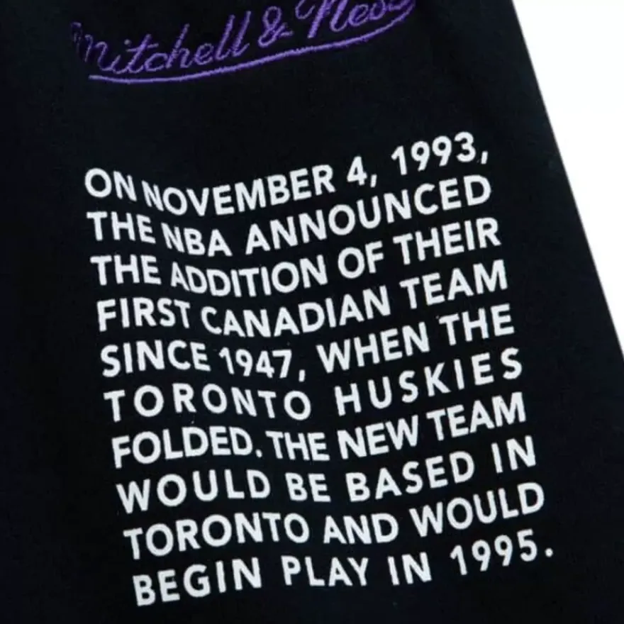 Mitchell & Ness Shorts-Team Origins Fleece Short Toronto Raptors