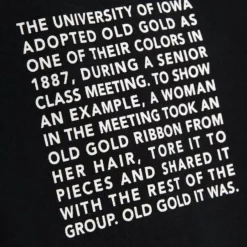 Mitchell & Ness Hoodies & Sweatshirts-Team Origins Hoodie University Of Iowa