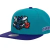 Mitchell & Ness Snapback-Team Origins Snapback Hwc Charlotte Hornets