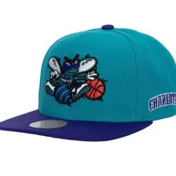 Mitchell & Ness Snapback-Team Origins Snapback Hwc Charlotte Hornets
