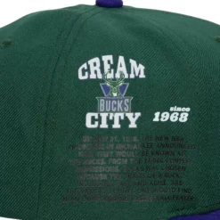 Mitchell & Ness Snapback-Team Origins Snapback Hwc Milwaukee Bucks