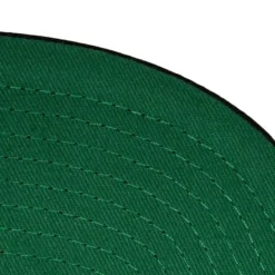 Mitchell & Ness Snapback-Team Origins Snapback Hwc Toronto Raptors