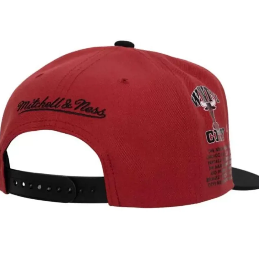 Mitchell & Ness Snapback-Team Origins Snapback Hwc Chicago Bulls
