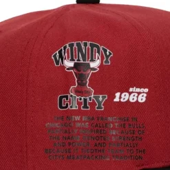 Mitchell & Ness Snapback-Team Origins Snapback Hwc Chicago Bulls