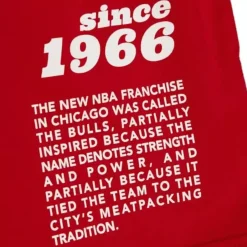 Mitchell & Ness T-Shirts & Tops-Team Origins S/S Top Chicago Bulls