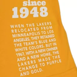 Mitchell & Ness T-Shirts & Tops-Team Origins S/S Top Los Angeles Lakers